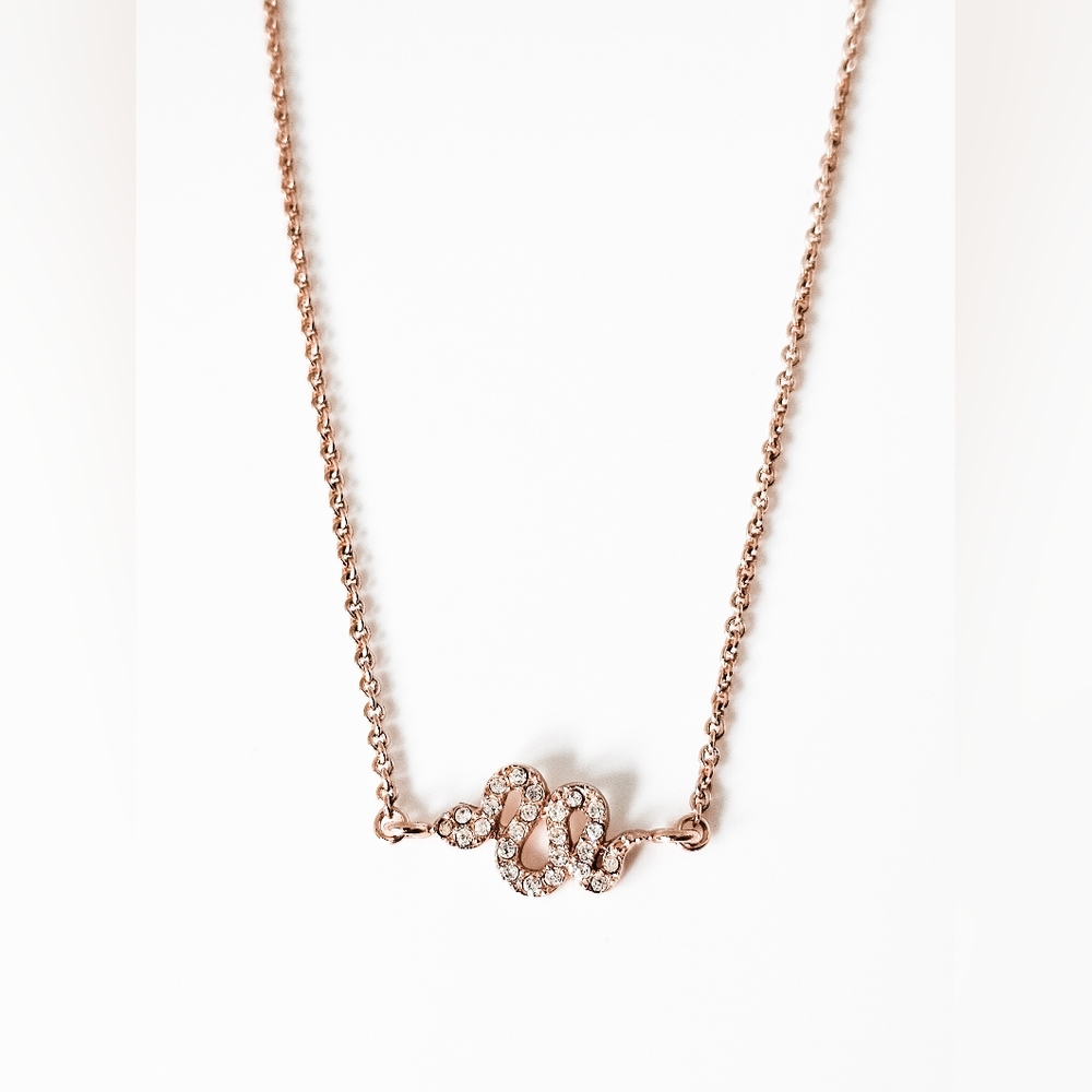 Stella & Dot sidewinder necklace